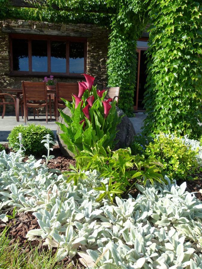 Hadleigh Boutique Lodge Tamahere Eksteriør bilde
